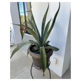 Planter, plant and stand