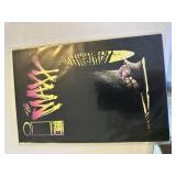 The Maxx comic book