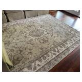 8x11Ft Area rug-clean