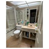 Misc contents of bathroom