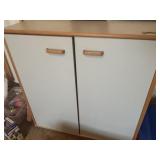 2 Door storage cabinet