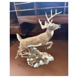 10 Point Buck