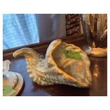 Stagl Shell