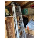 6ft Ladder
