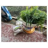 Faux plants, shells etc lot