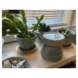 Christmas cactus w/misc planters