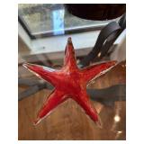 Glass Starfish