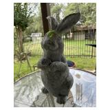 Outdoor rabbit