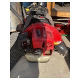 RedMax Gas Blower