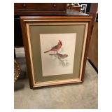 Framed cardinal print 25 x 30ï¿½