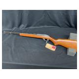 Marlin 99 g 22 rif