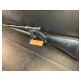 Charter Arms AR-7 Explorer 22LR survival rifle