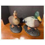 plastic duck  decoys