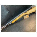 Stevens 15A 22 Rifle