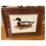 Mallard duck print 22ï¿½ x 18ï¿½