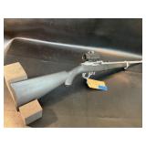 Ruger 10ï¿½22RIF, with red dot scope