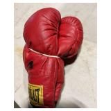Everlast boxing gloves