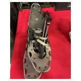 Snow shoes, and walking poles