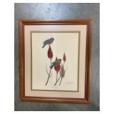 Wm Zimmerman ï¿½Eastern Bluebird ï¿½ print 22ï¿½ x 25ï¿½