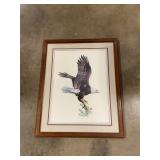 Hugh Hirtle American bald eagle framed print