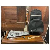 Pearl Xylophone/ Glockenspiel Instrument with case