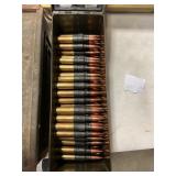 3006 cartridges 194 ct in ammo case