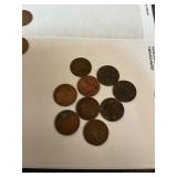 nine Indian head pennies
