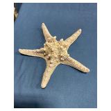 Starfish Decor
