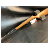 Glenfield Rifle 22 cal.