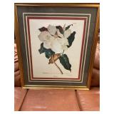 Framed magnolia picture 34'x 30'
