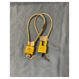 Two gun locks
