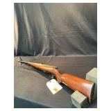 Savage sporter rifle 22