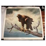 Charles Frace Signed Golden Eagle Print 30"x26"