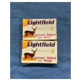 Lightfield hybred sabot slugs