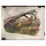 Arthur Singer signed Pheasant Print 32"x24"