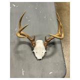 Euro mount