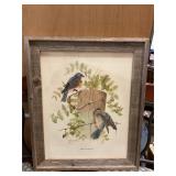 Signed Charles Spaulding Bluebird Picture24"x20"