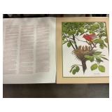 Ray Harm Signed Cardinal Print w/ a Matt 26"x22"