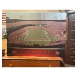 San Francisco 49ers on canvas 40ï¿½x30ï¿½