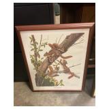 "Red squirrels "Jim Oliver signed print 28" x 21"