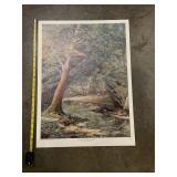 Printed copy of "violets & sycamores"