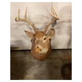 8 point buck mount