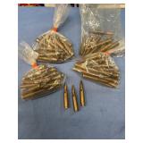 308 Ammo 73 rds