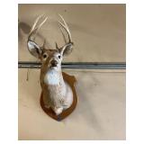 Deer Head Mount on Plaque