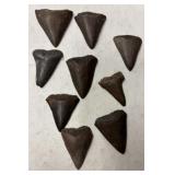 SHARKS TEETH