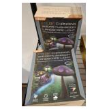 I ZOOM COLOR CHANGING LANDSCAPE LIGHT