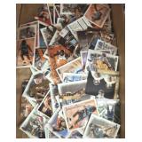 SPORTS COLLECTOR CARDS ASSORTED