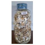 22IN MASON JAR OF SEA SHELLS