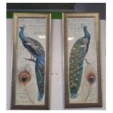 PR PEACOCK FRAMED PRINTS