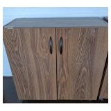 2 DOOR CABINET